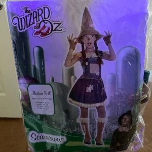Medium girl the wizard of oz costume 8-10